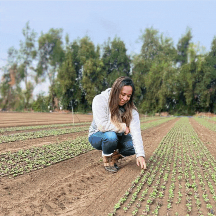 Agricultura sostenible