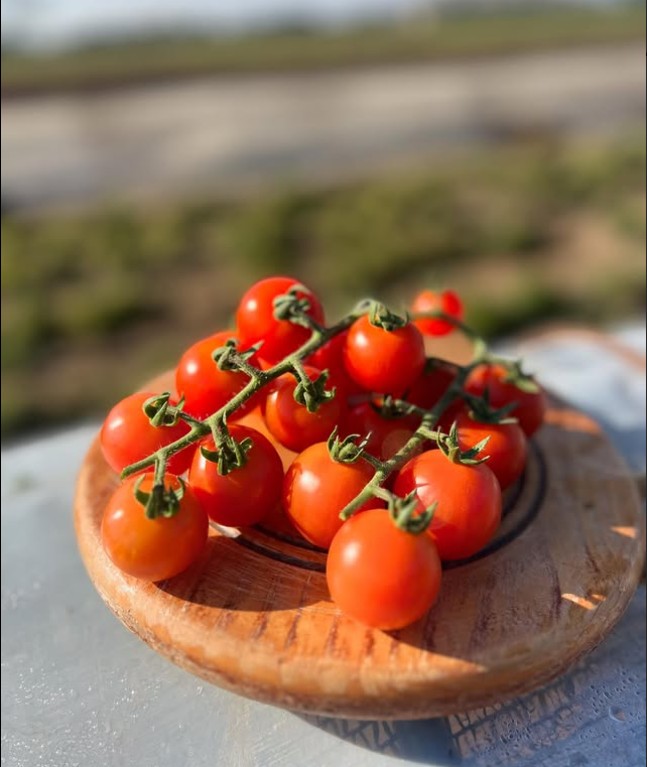 Tomate Cherry en Racimo