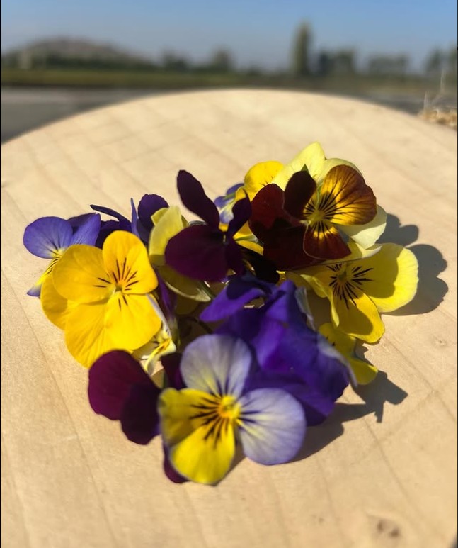 Flores Comestibles Variadas