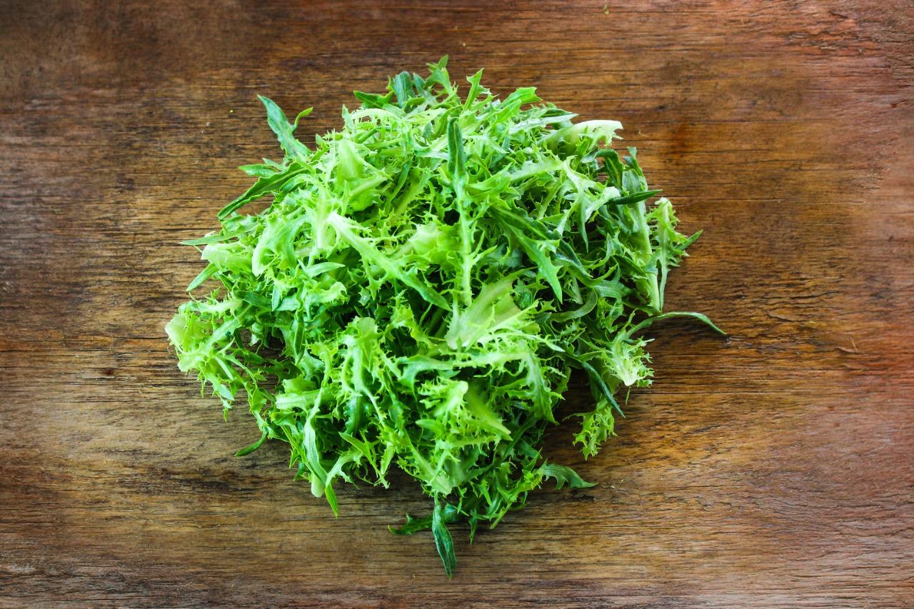 Lechuga Fristina