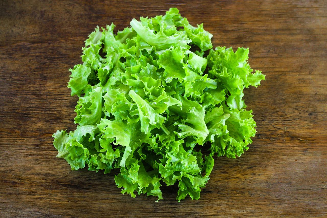 Lechuga Lollo Bionda Baby