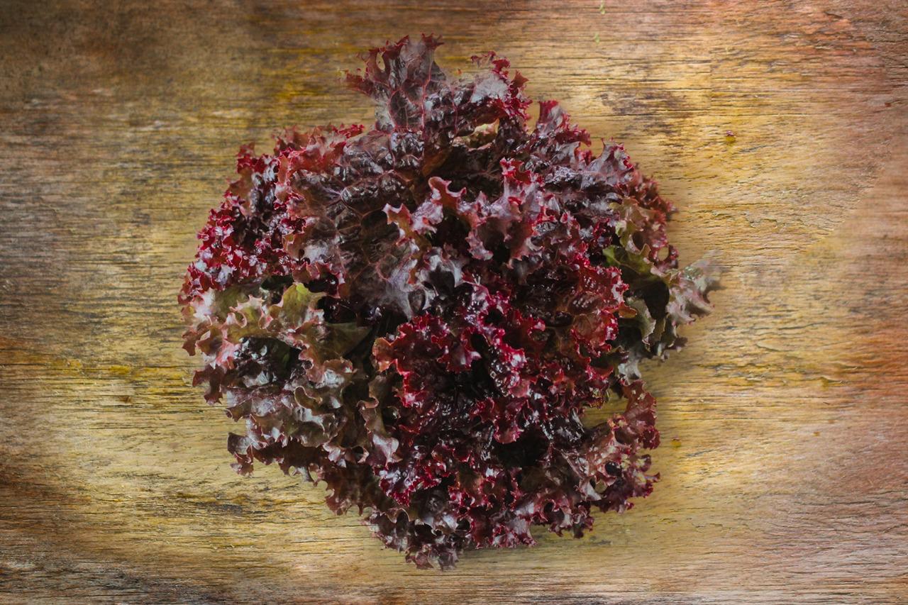 Lechuga Lollo Rossa