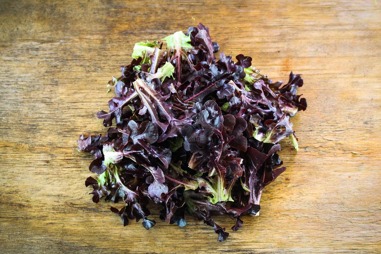 Lechuga Lunanera