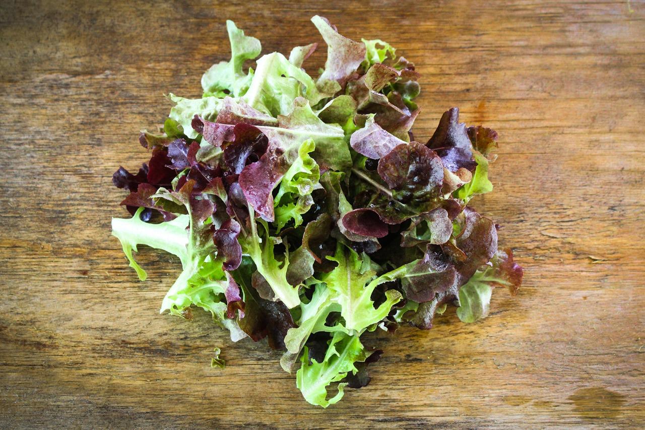 Lechuga Roble Rojo