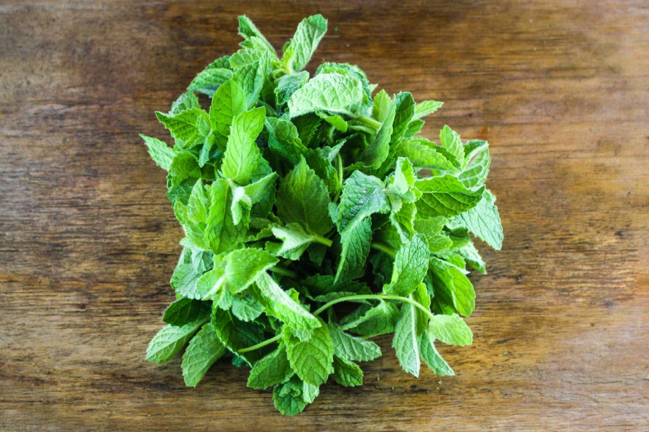 Menta Fresca