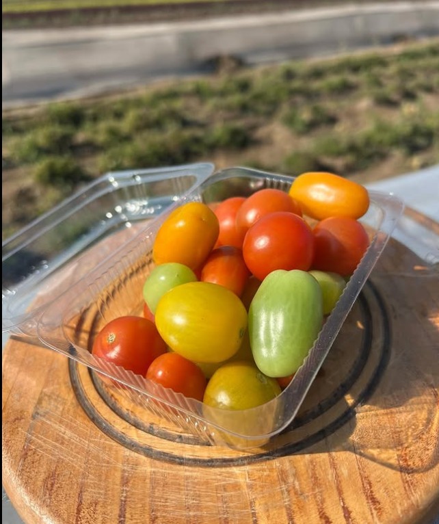 Tomate Cherry de Colores