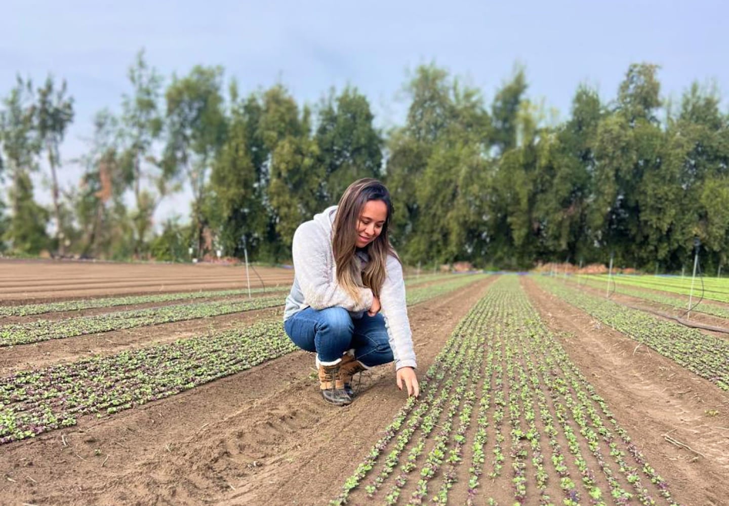 Innovación en la agricultura chilena - La Agrícola